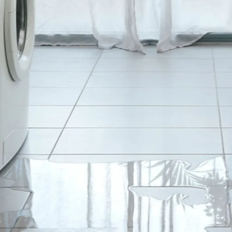 Appliance Leak Cleanup in Bureau County, IL