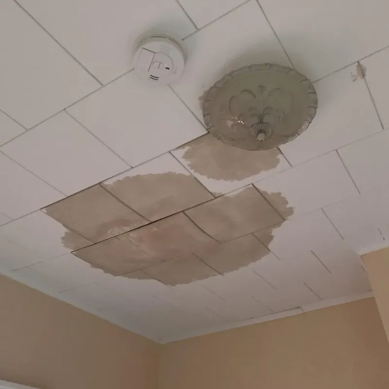 Ceiling Water Damage Repair in Bureau County, IL