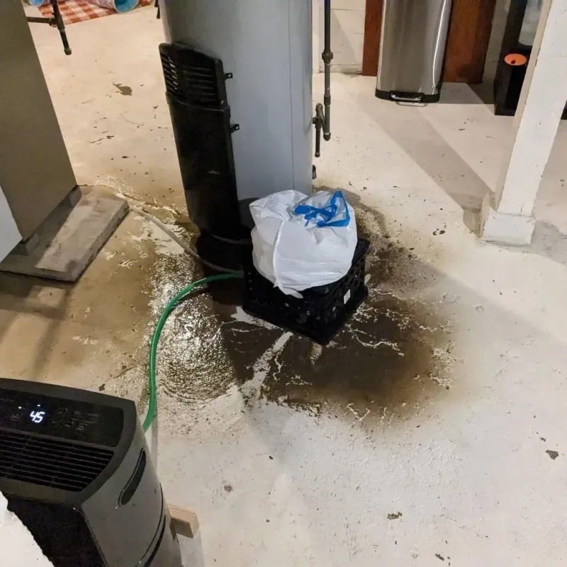 Sewage Backup Cleanup Service in Bureau County, IL